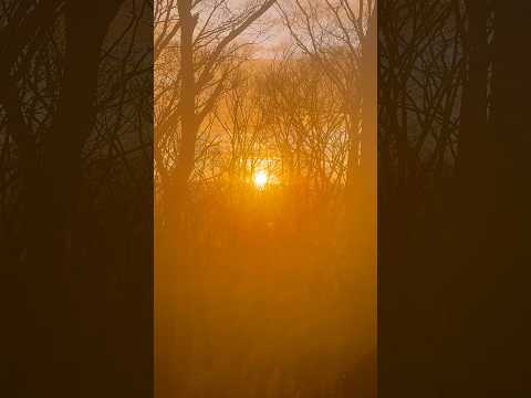 初日の出　那須高原にて　2026年1月1日 サムネイル