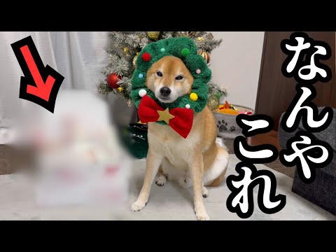 【ビックリ】とある所からプレゼントが届きました サムネイル