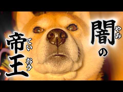 裏の世界を支配しそうなので光さす表の世界へ連れ戻しました サムネイル