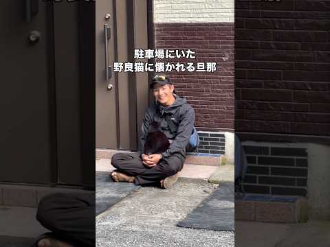 初めましてのはずなのに野良猫に懐かれる旦那が謎すぎるwww 野良猫 保護猫 子猫 黒猫 サムネイル