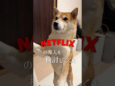 頑張ってお願いする犬のおまわりさん サムネイル