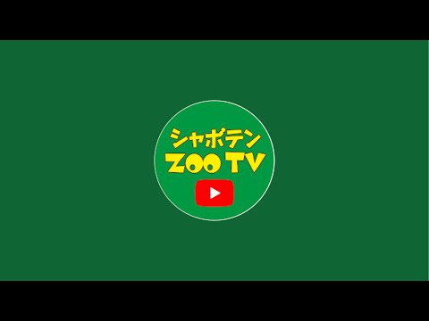 伊豆シャボテン動物公園公式チャンネル がライブ配信中！ サムネイル