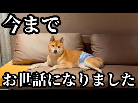 僕は引っ越そうと思います サムネイル