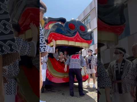 shorts 獅子パックン　松🌲　酒田大獅子　酒田まつり