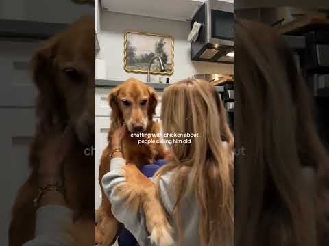 coming home to my golden retriever🥵 goldenretreiver dog ind… サムネイル