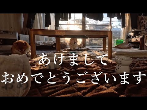 2026年1月1日(木)元日 あけましておめでとうございます🌅 サムネイル