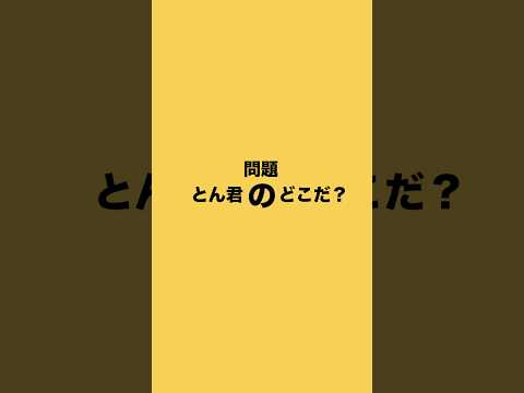 柴犬とん君の部位をあててね❣️大体あってたら正解だよ❣️ 柴犬　柴犬とん サムネイル