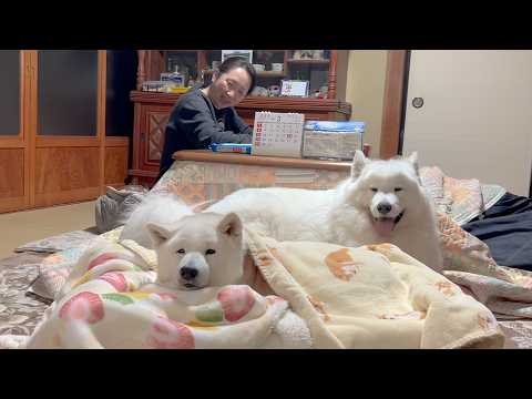 いつでも帰ってきてね。 サムネイル