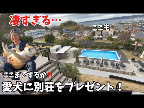 【驚きと緊張】テンションが爆発する柴犬とハスキーに起こった結末とは… サムネイル