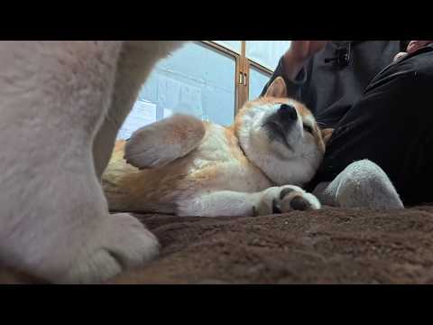 2026年4月4日(土) チョイ焦げ生地をしっかりモチモチに仕上げていきます🥖 サムネイル