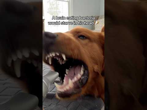 At least he’s cute 😂 サムネイル