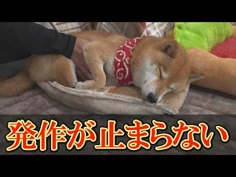 薬を変えても効果がなく、危険な病名を告げられました・・・ サムネイル