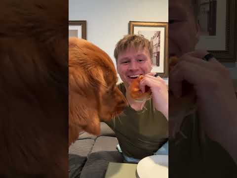 How did he do? サムネイル