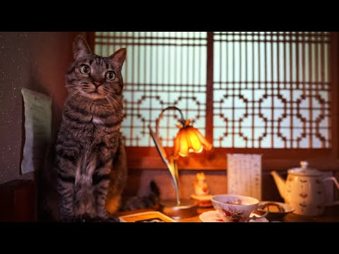 ようこそ、喫茶トラトラへ　My Little Café at Home サムネイル