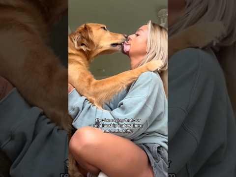 coming home to my golden retriever🥵 goldenretreiver dog ind… サムネイル