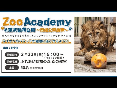 Zoo Academy @東武動物公園～日曜公開講座～ライオンのバラッドが健康に過ごせるように東武動物公園　公式You… サムネイル