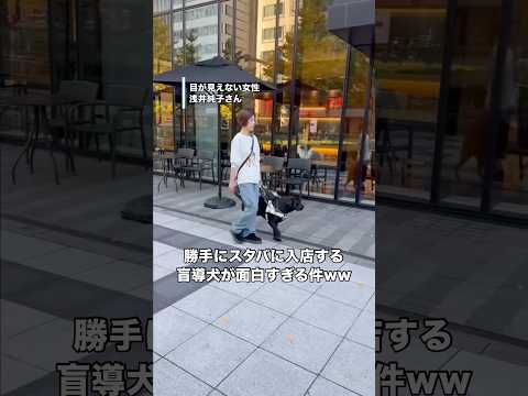 勝手にスタバに入店する盲導犬が面白すぎるwww 盲導犬 全盲 視覚障害 犬 サムネイル