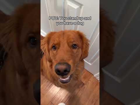 EVERYTHING is a group effort サムネイル