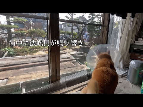 2025年12月26日(金) 山伏に、法螺貝に、松の勧進でざわめき出すモモ家の皆さん サムネイル