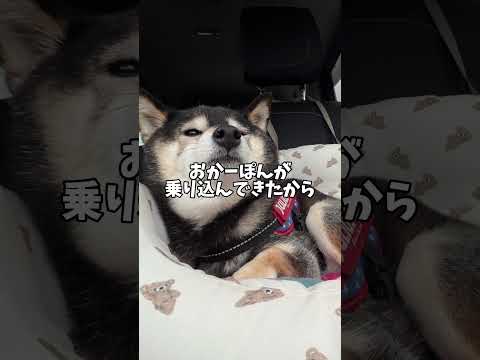 飼い主によって態度が違いすぎる件www