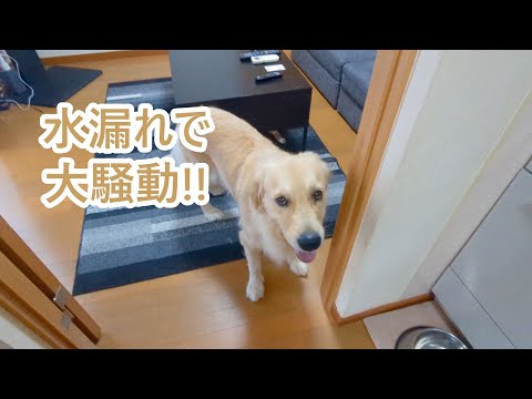 水漏れで大騒動。海暮らしから東京へまた帰ります。 サムネイル