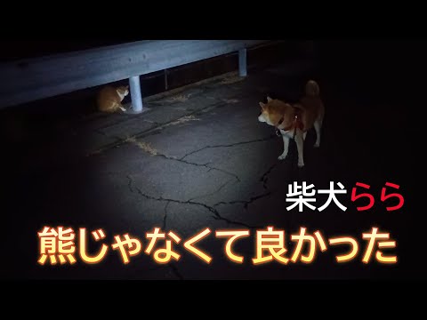 熊じゃなくて良かった サムネイル