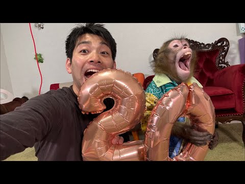 アニマルトレーナーになって20年が経ちました サムネイル