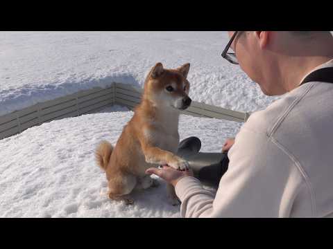 異常気象な日‥これで明日から吹雪らしい。。 サムネイル