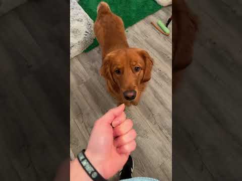 How’s Clifford doing? サムネイル