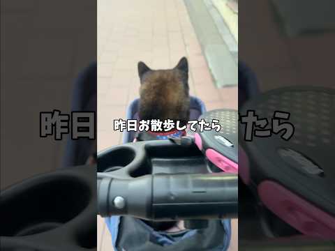 黒柴🐕が散歩中に出会った親子の話🤔 サムネイル