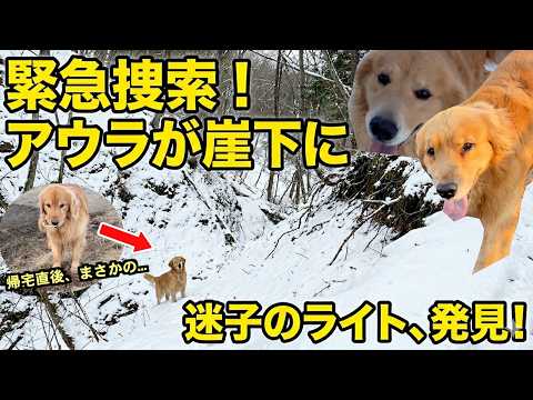 【緊急事態】崖下に消えたライトをアウラが救出！無事帰宅した直後、まさかの行動に一同唖然w サムネイル