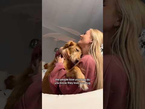 chatting with chicken about people calling him old😎goldenre…