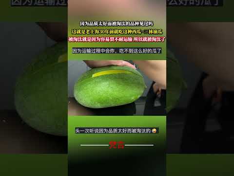 因為品質太好而被淘汰的品種見過嗎 這是老上海30年前就吃這種西瓜~三林崩瓜 意外 神奇 西瓜 amazing wate… サムネイル