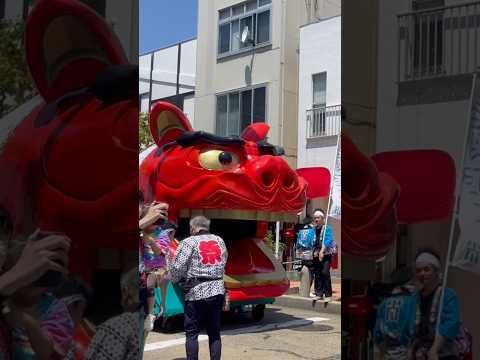 shorts 獅子パックン　桜🌸　酒田大獅子　酒田まつり