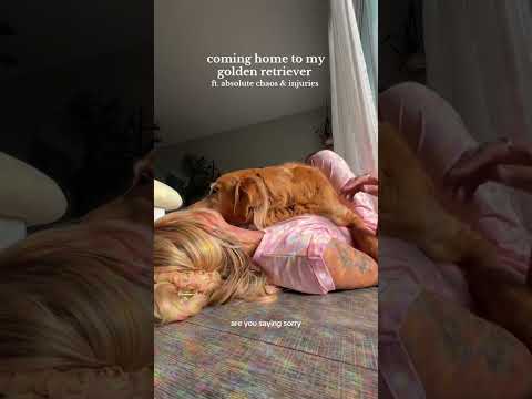 Bikini Try-On Haul |4K Transparent Lingerie & See-Through S… サムネイル