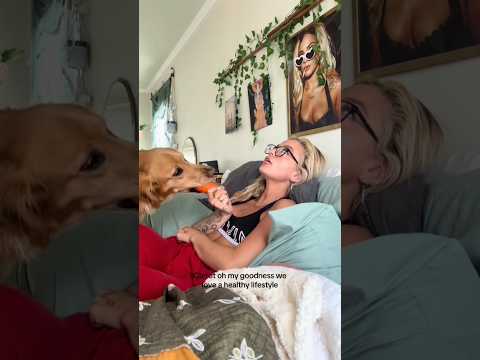 coming home to my golden retriever🥵 goldenretreiver dog ind… サムネイル