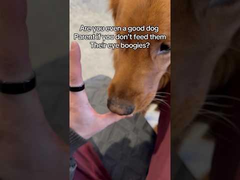 Do you do this or am I weird? サムネイル