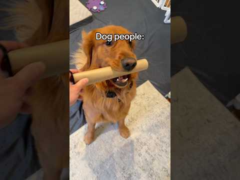 That’s the rules 🤷‍♂️ サムネイル