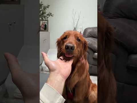 Teaching him some manners.. サムネイル