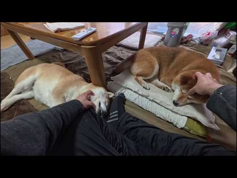 仕事の休憩に茶の間を訪れると新たな仕事が始まります。 サムネイル