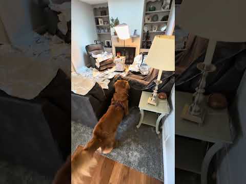 I can’t believe this work!! 😀 サムネイル