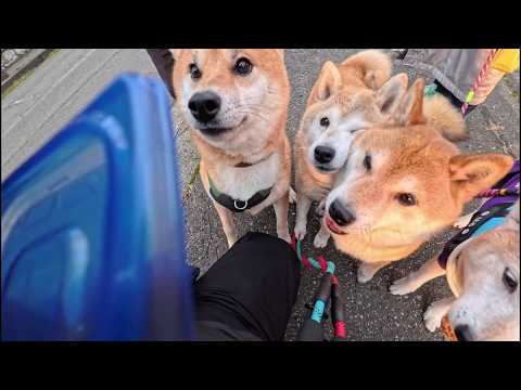 2026年3月26日(木) お目々キラキラ 春のぎゅうぎゅうパン祭り サムネイル