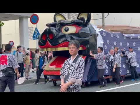 山王くん　酒田大獅子　酒田祭りにて　2026年5月20日 サムネイル