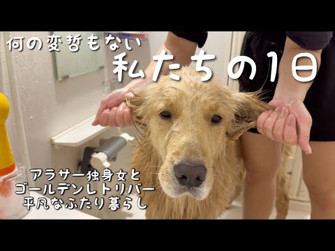 【ドッグランに行く日】週一でお風呂に入れられるゴールデンレトリバー サムネイル