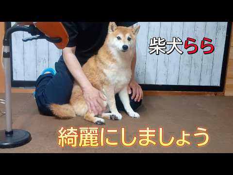 綺麗にしましょう サムネイル