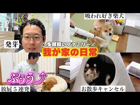 【爆笑】ルーティン撮影中に起きた珍事件www【屁こき主】 サムネイル