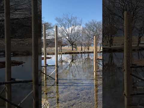 shorts 水面に映ってそうな映って無さそうな‥   山中湖交流プラザきららにて　2026年2月22日 サムネイル