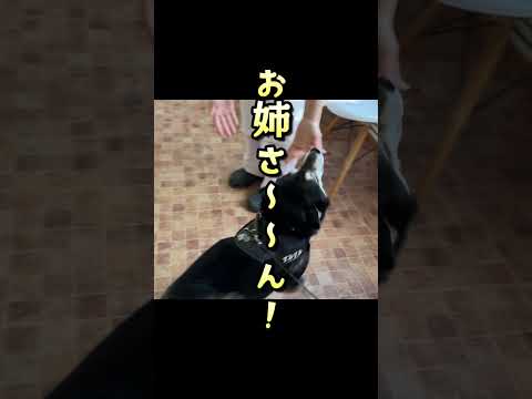 病院イヤぁ～ サムネイル