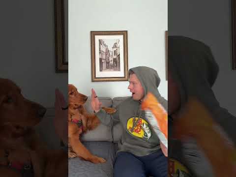 Why can’t I just enjoy MY snack? サムネイル