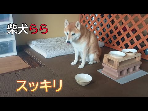 スッキリ サムネイル